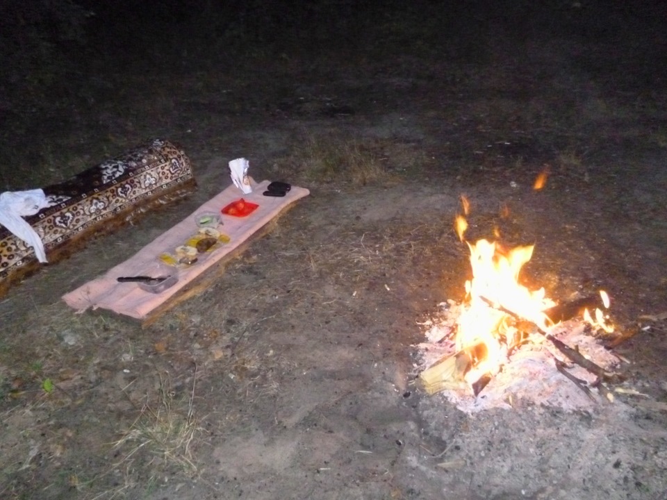 Вечірній ліс. 4