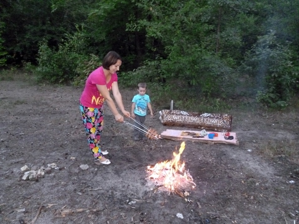 Вечірній ліс. 2