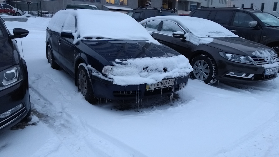 Вартий тур, нудьгує, тому що ніхто не купує 1