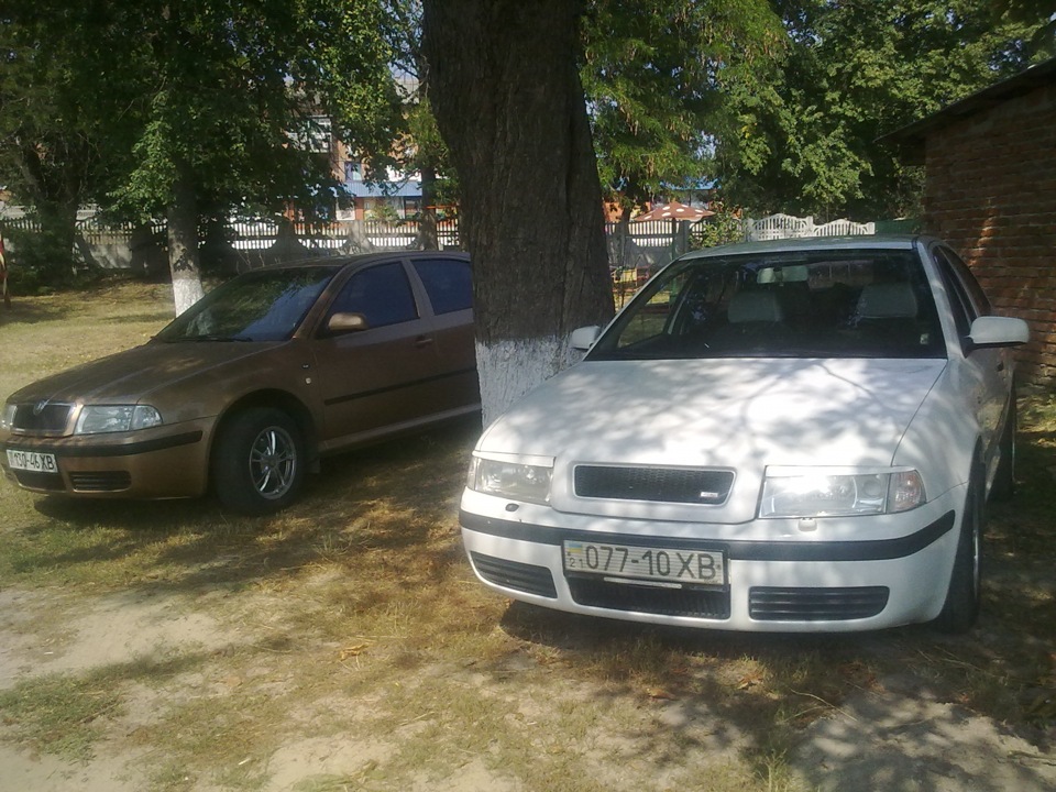 Нові тапки 5