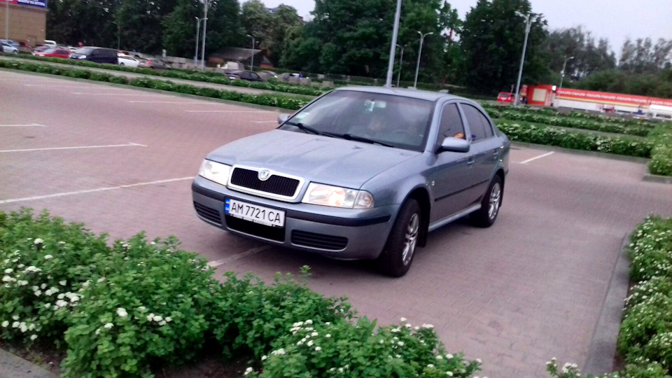 Просто пару фоточок 4