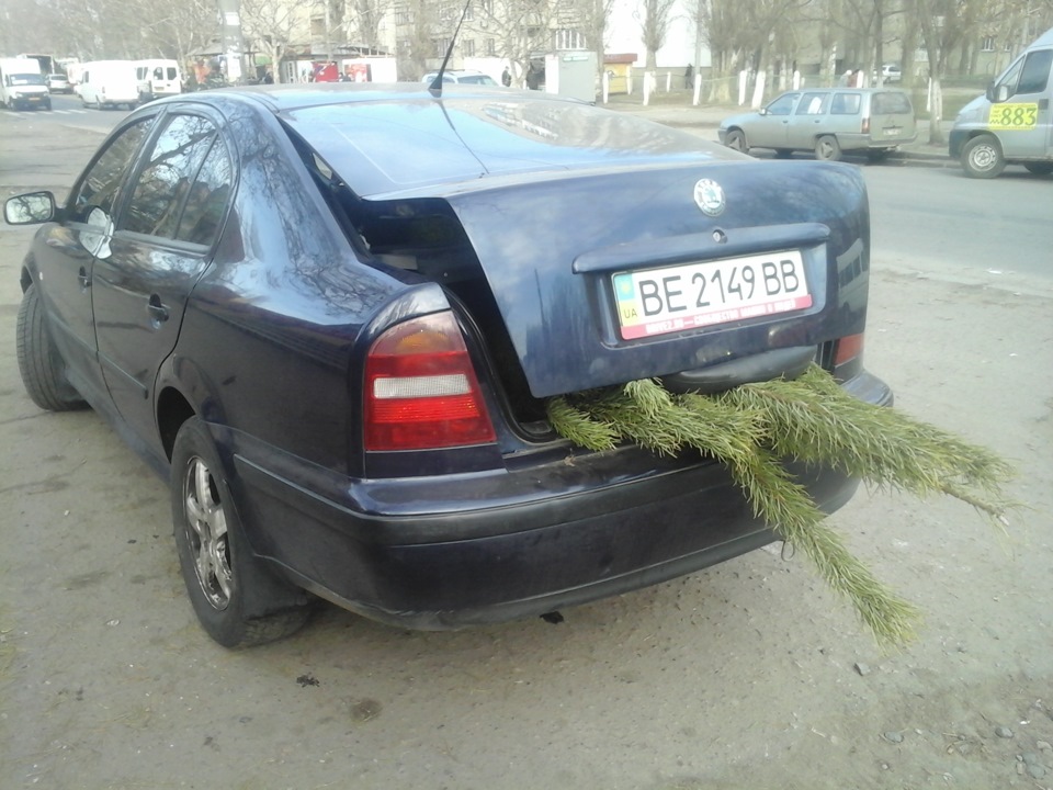 Купив ялинку в машину... 1
