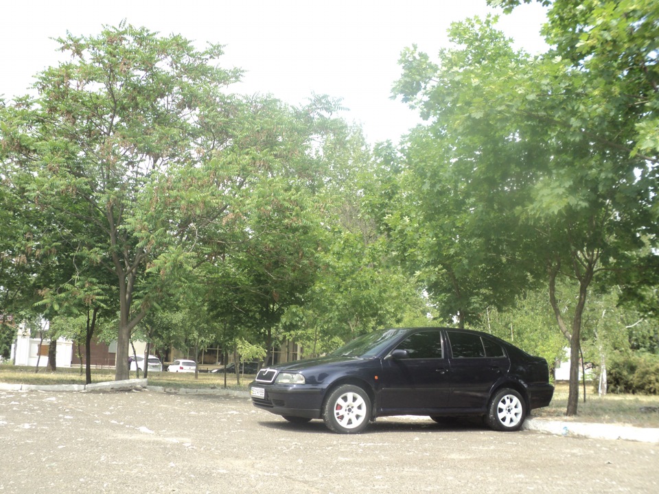 Пара фоток 2