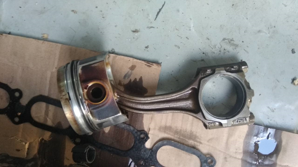 Став кування говорили вони ... 4