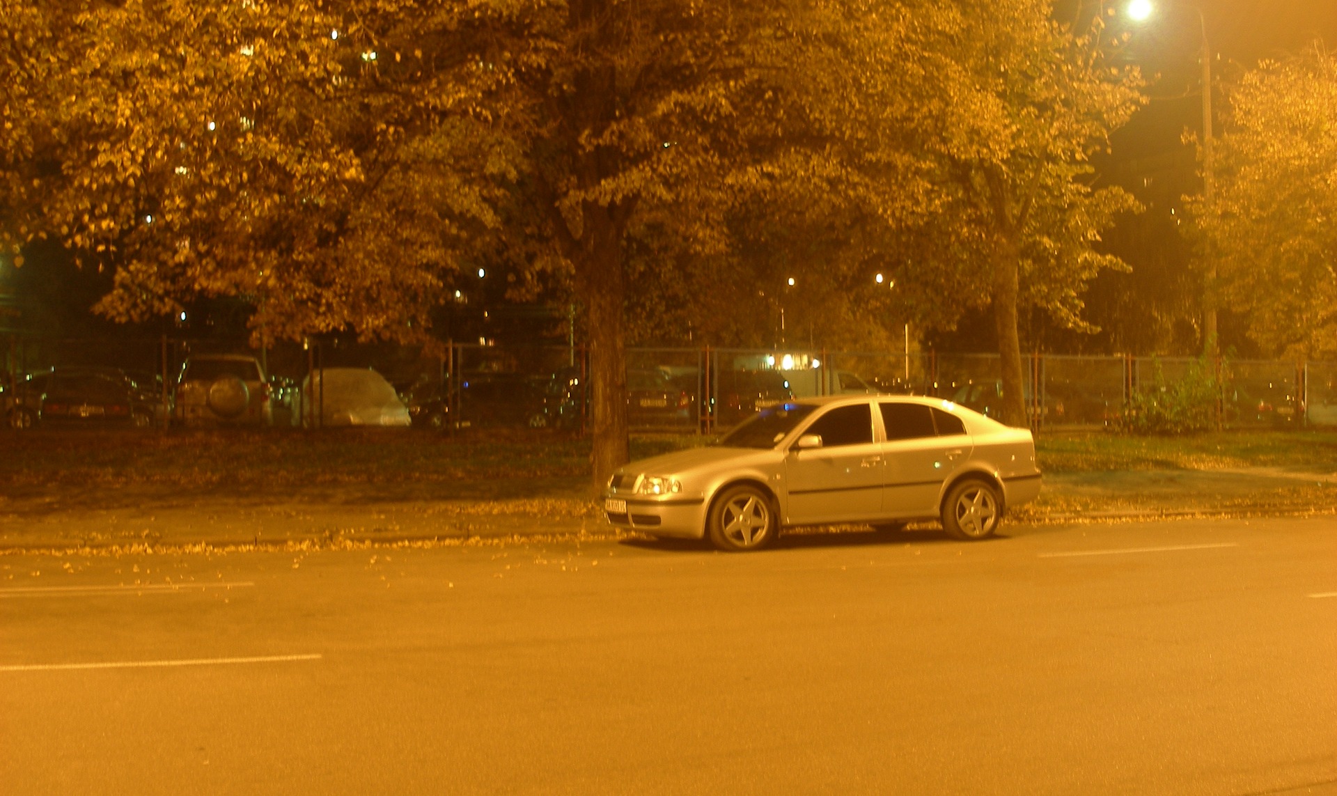 Пара фоток... 1