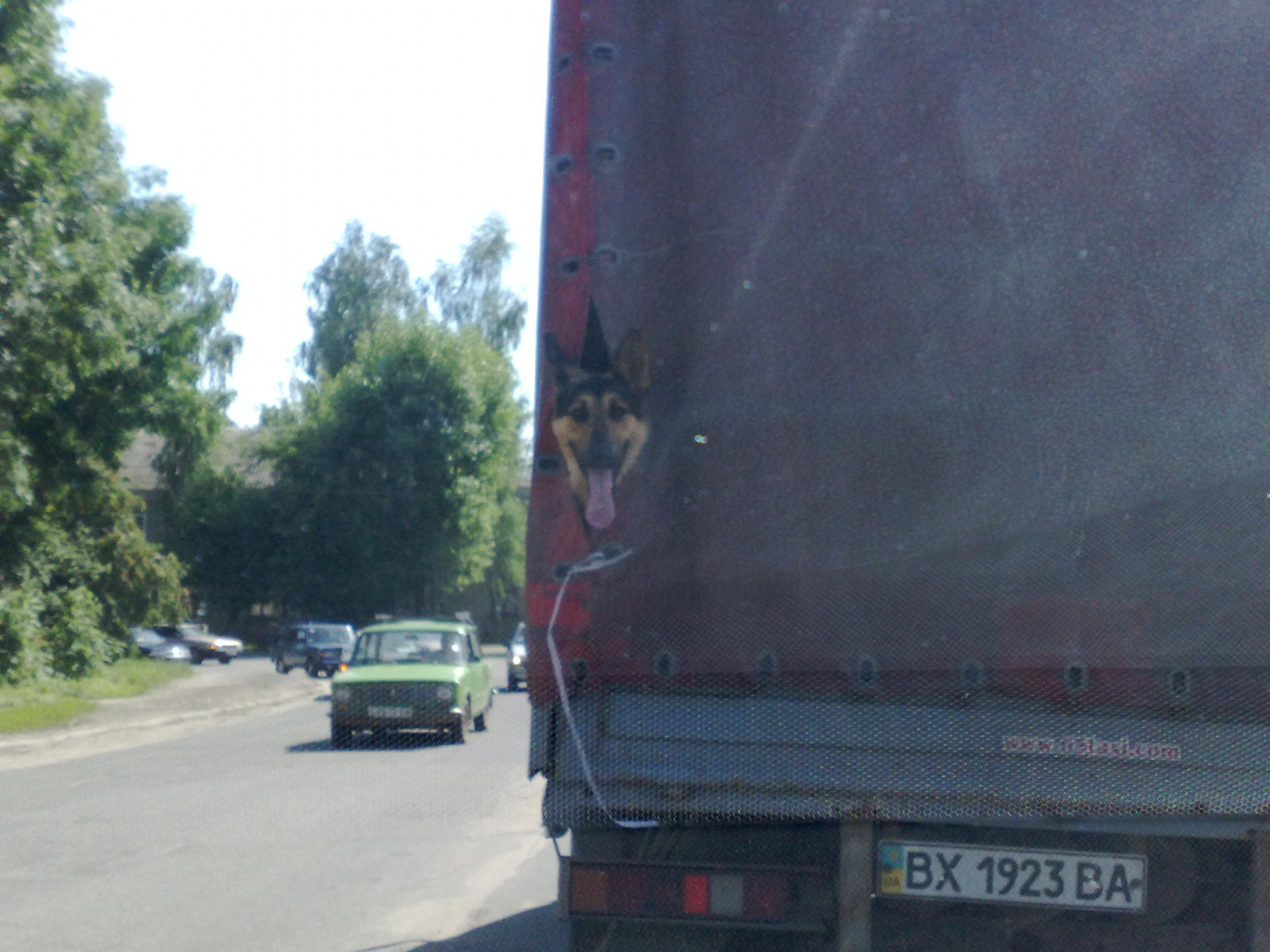 Фото з вікон автомобіля 1