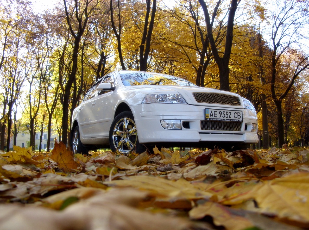 Осенний фотосет 5