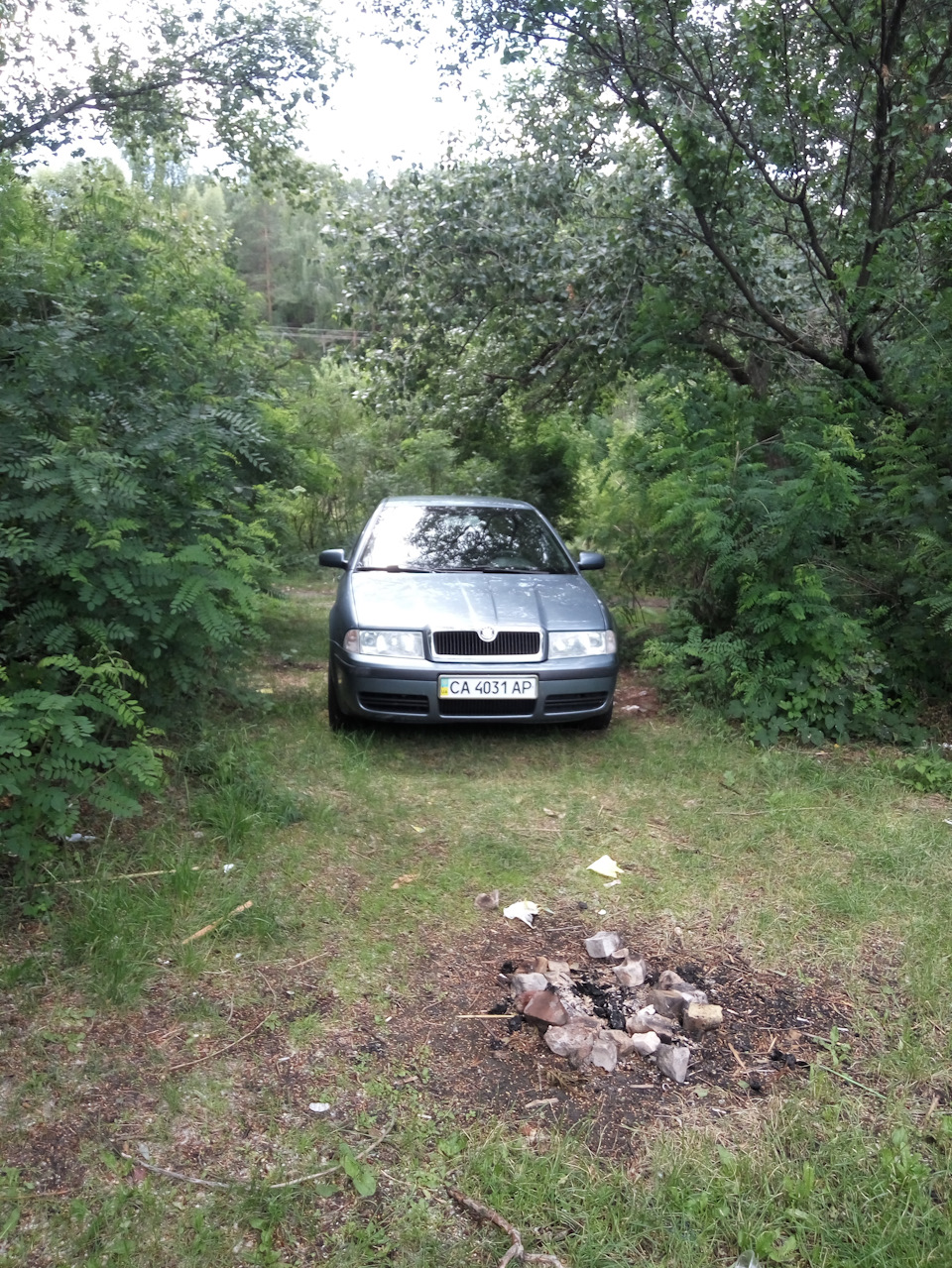 Логи 1