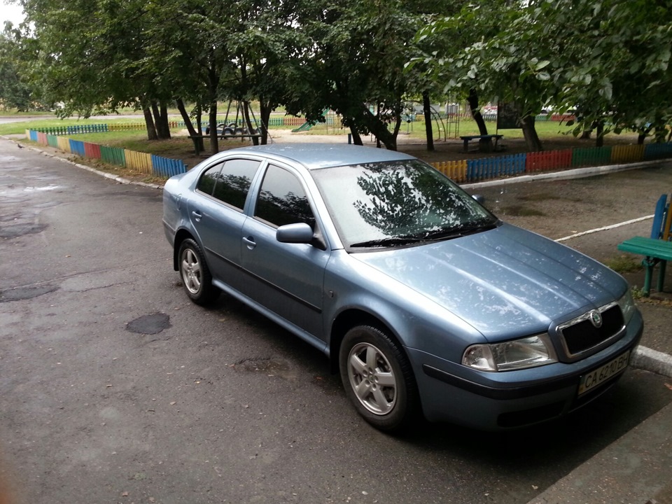 Приживаємось)) 5