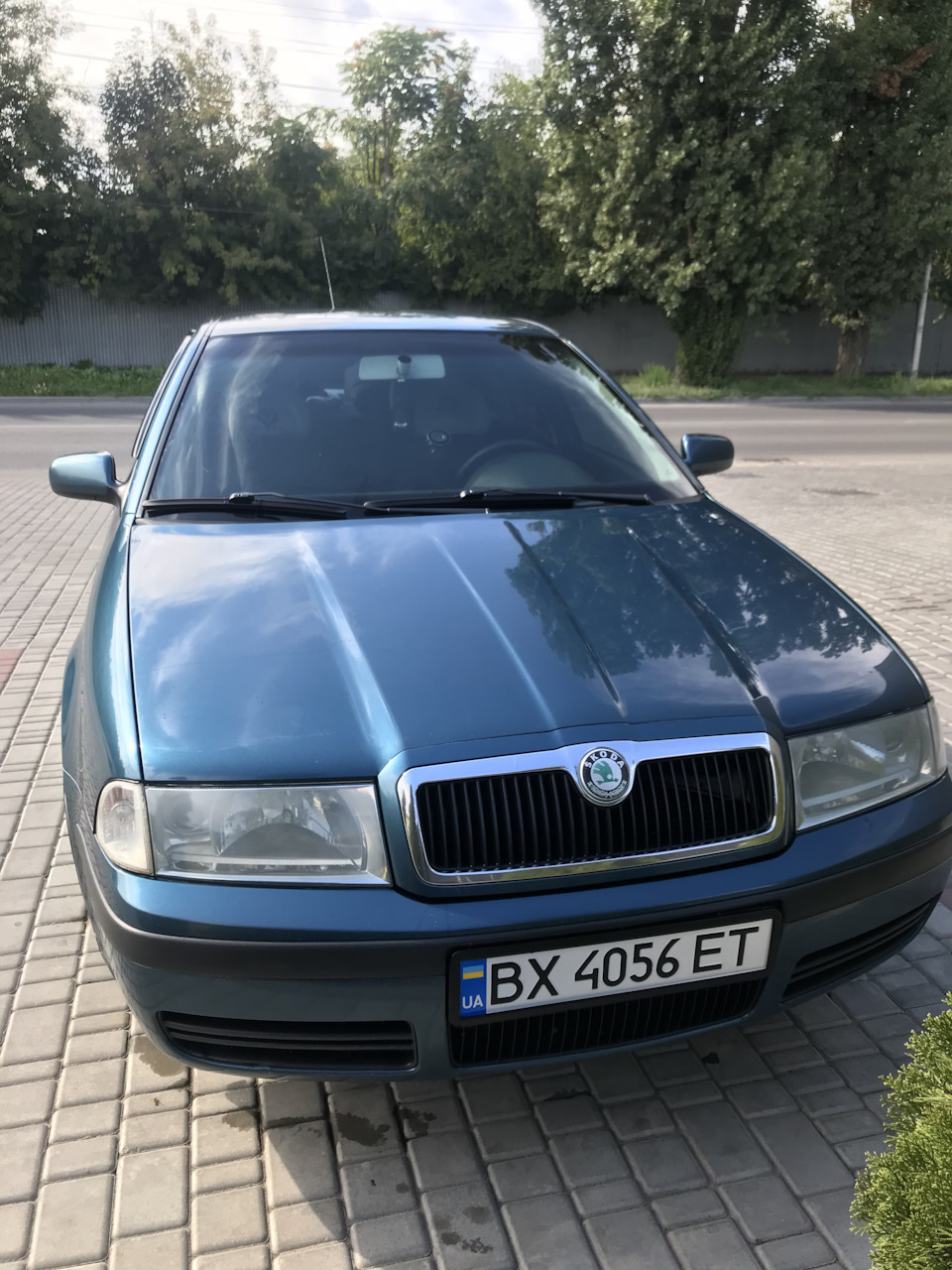 HELP сторонні звуки з переднього лівого колеса 1