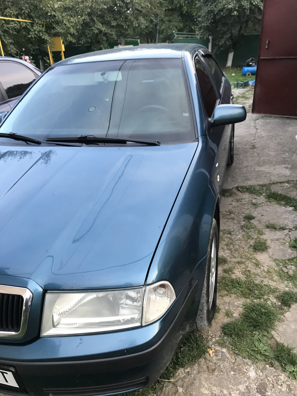 Видалення вітровиків 2