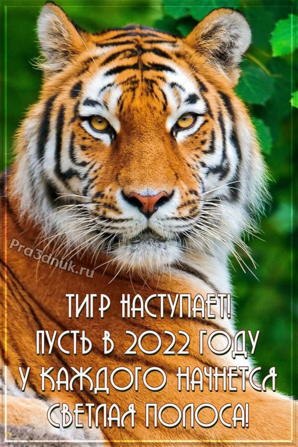 Чиста в новому році)))) 2