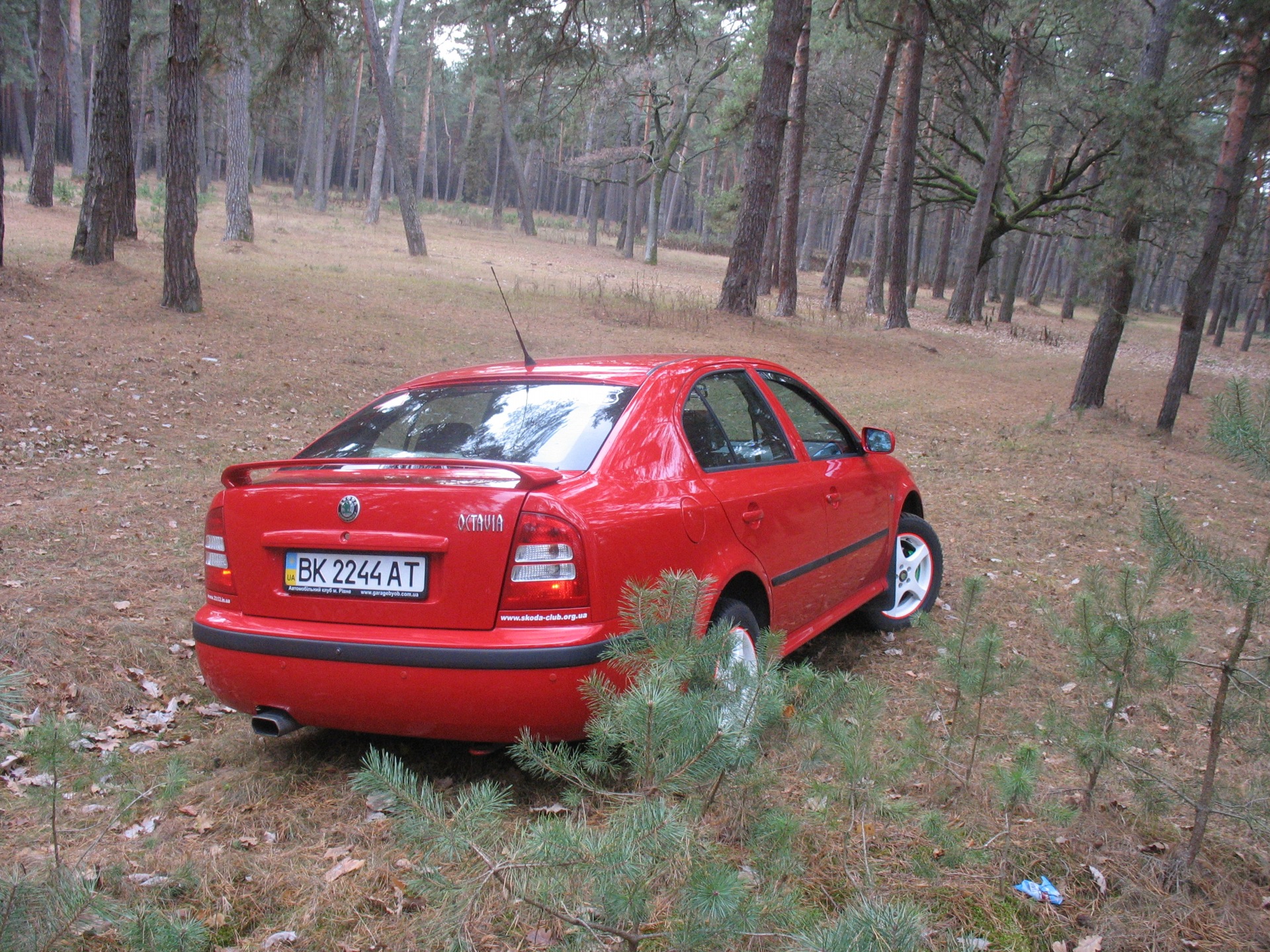 Осінь 2011 2