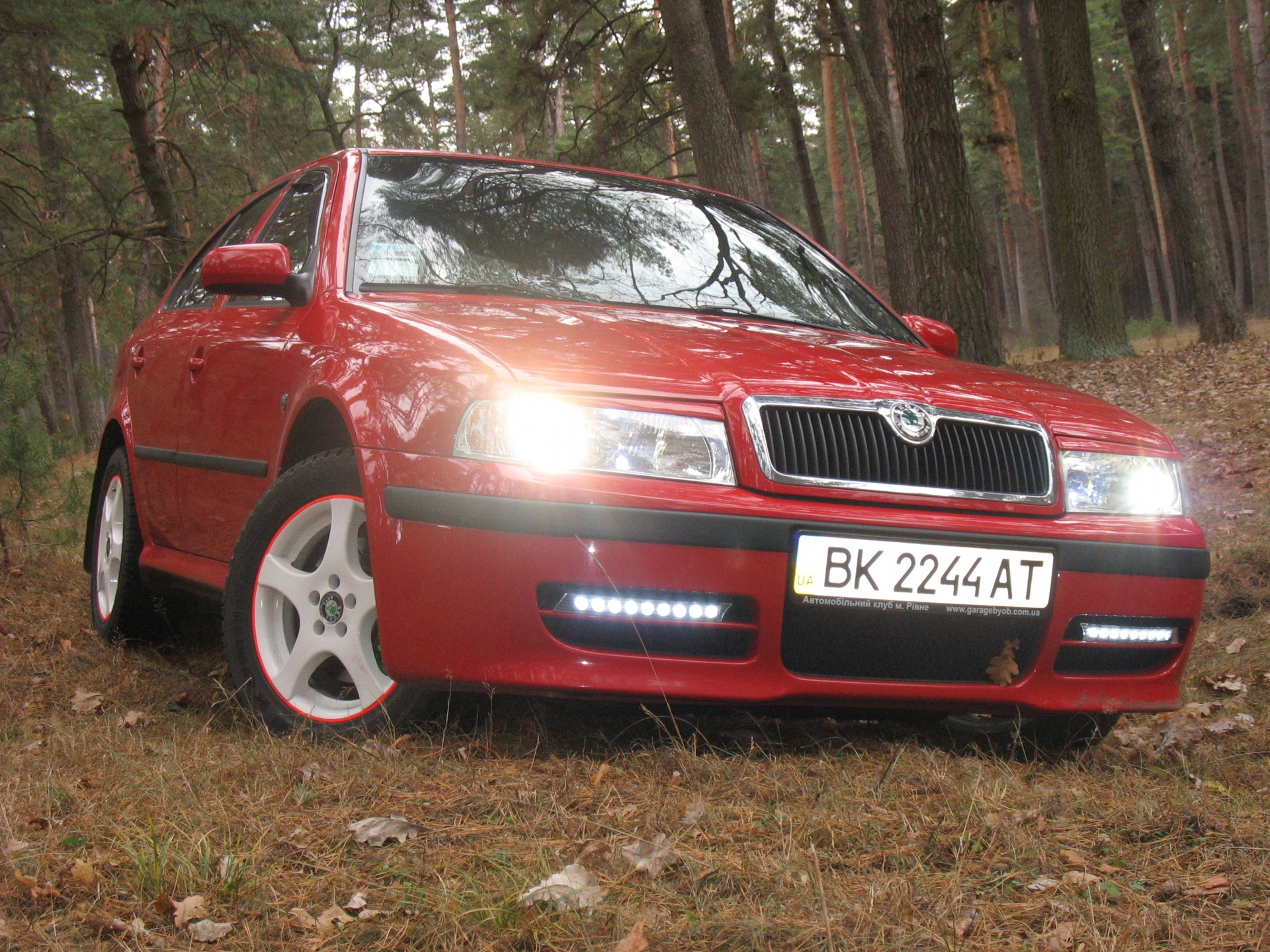 Осінь 2011 1