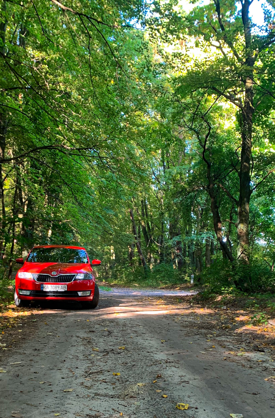 Про машину. Про Skoda 1