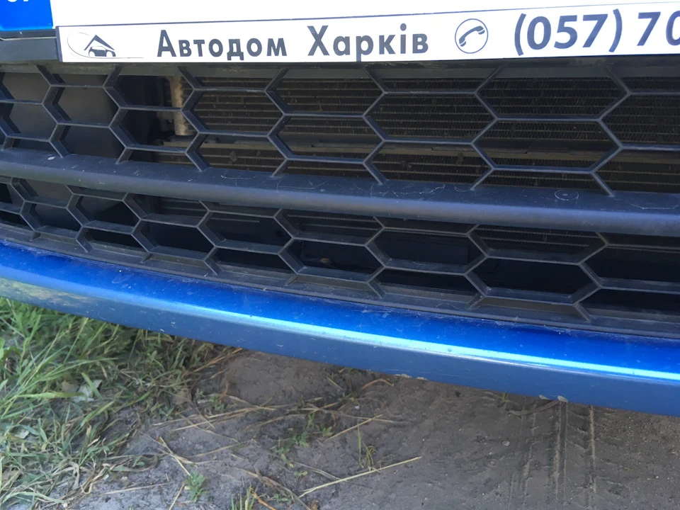 Встановив захисну сітку в радіаторні грати