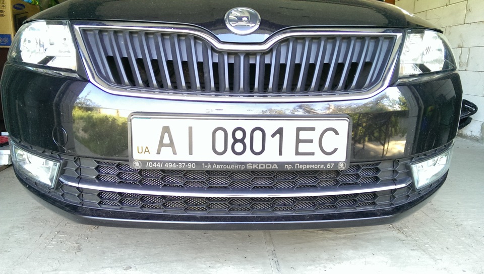 Сітка в обидві грати 1