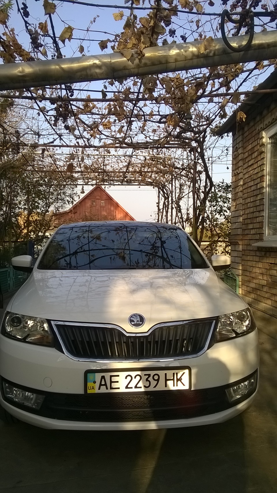Осінній фотосет 2014:) 2
