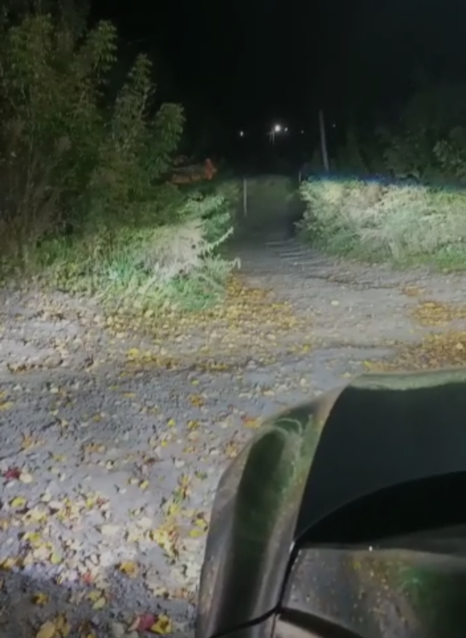 Установка BI-LED бісвітодіодних лінз у фари 4