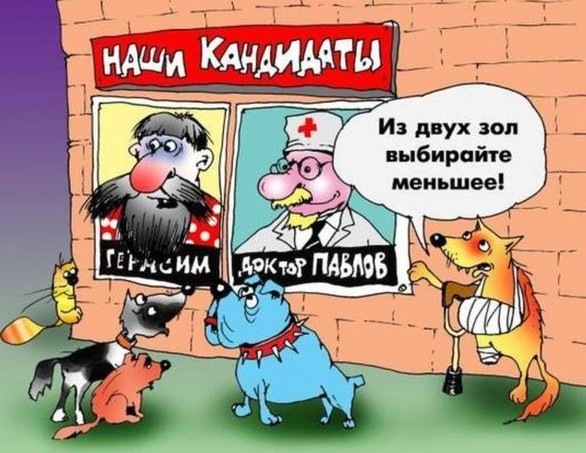 Ми знову на виборах! 1