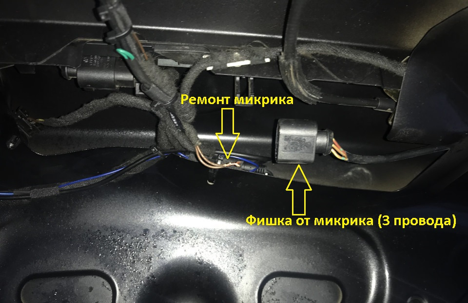 Мікрик личинки багажника 2