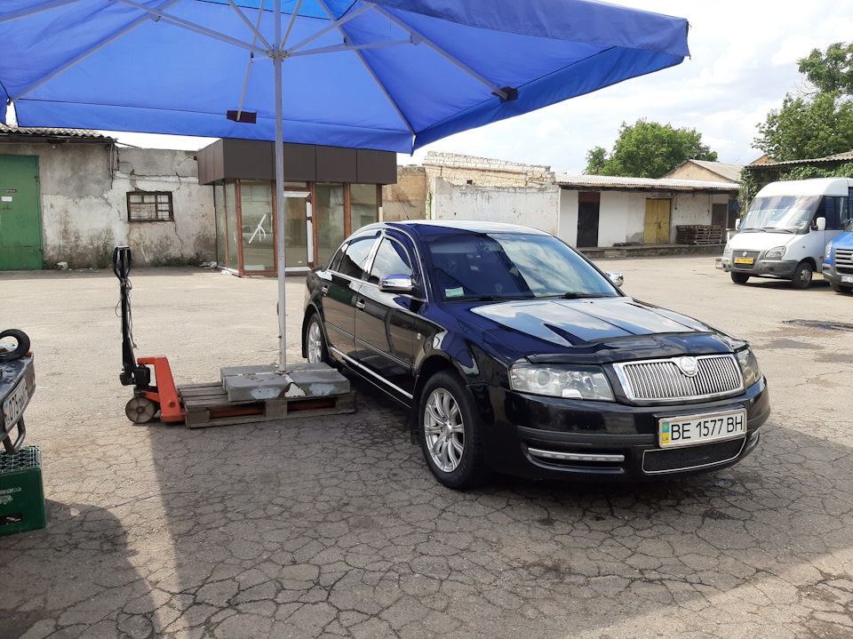 Чорний лоск для гуми Turtle Wax. 3