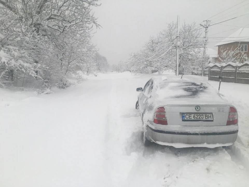 Зима.зима ❄️ ❄️ ❄️
