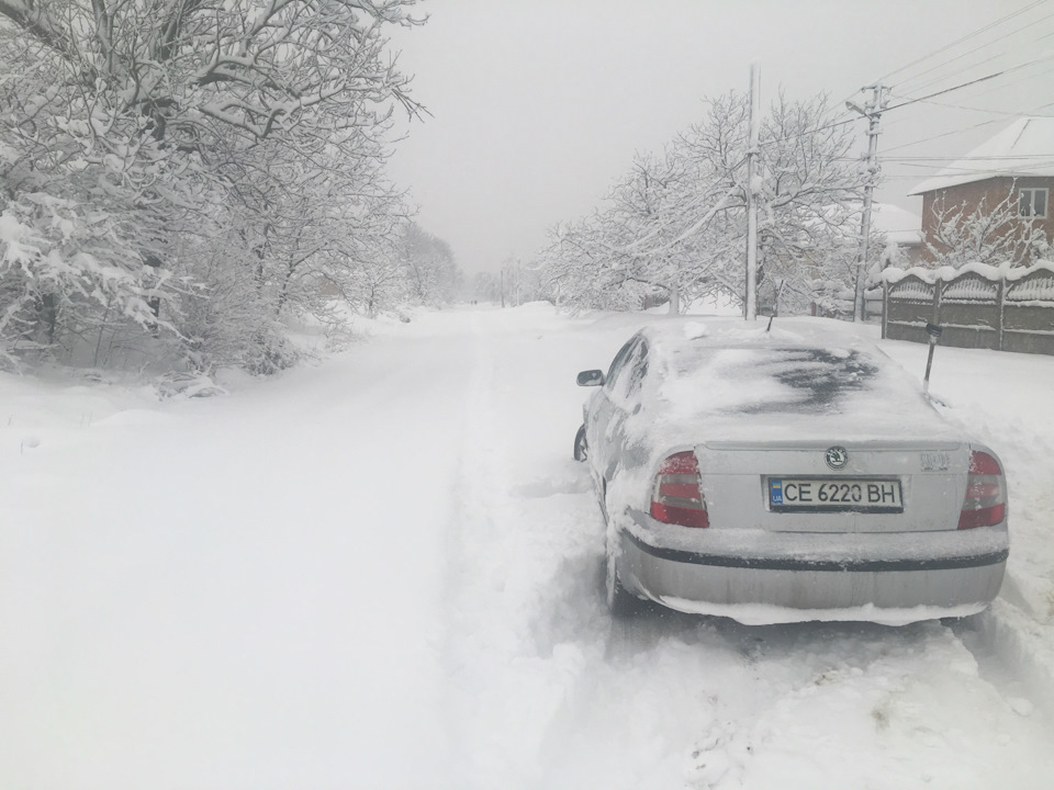 Зима.зима ❄️ ❄️ ❄️ 1