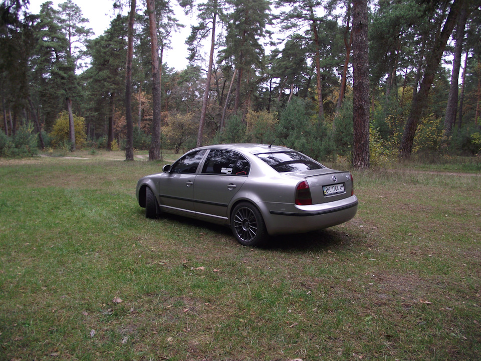 Прогулянка в ліс 5