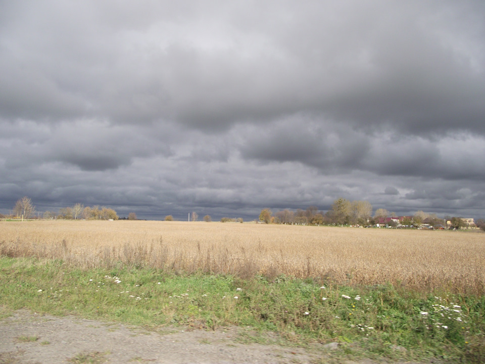 Прогулянка в ліс 1