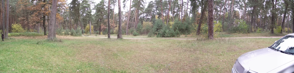 Прогулянка в ліс 4