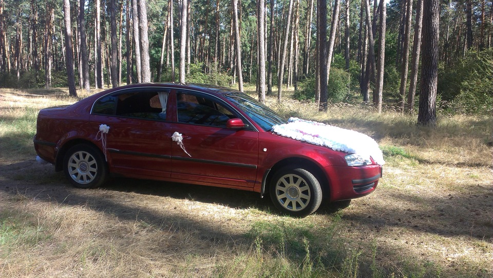Покатал свадьбу! 3