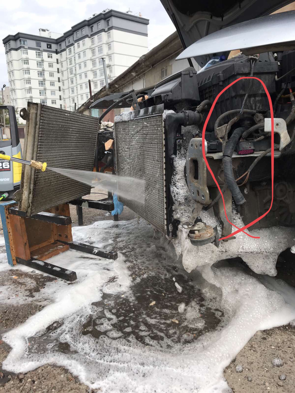 Питання до знавців 1