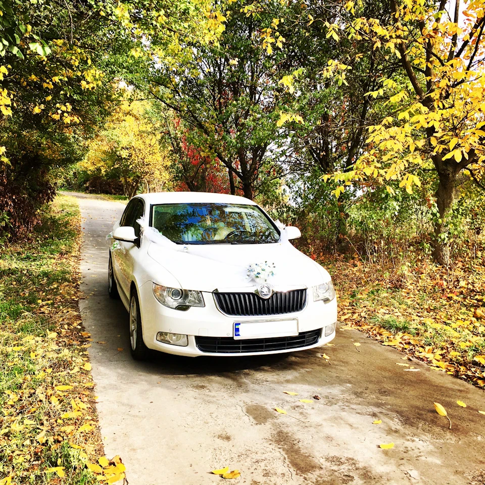 Весільна осінь 2017