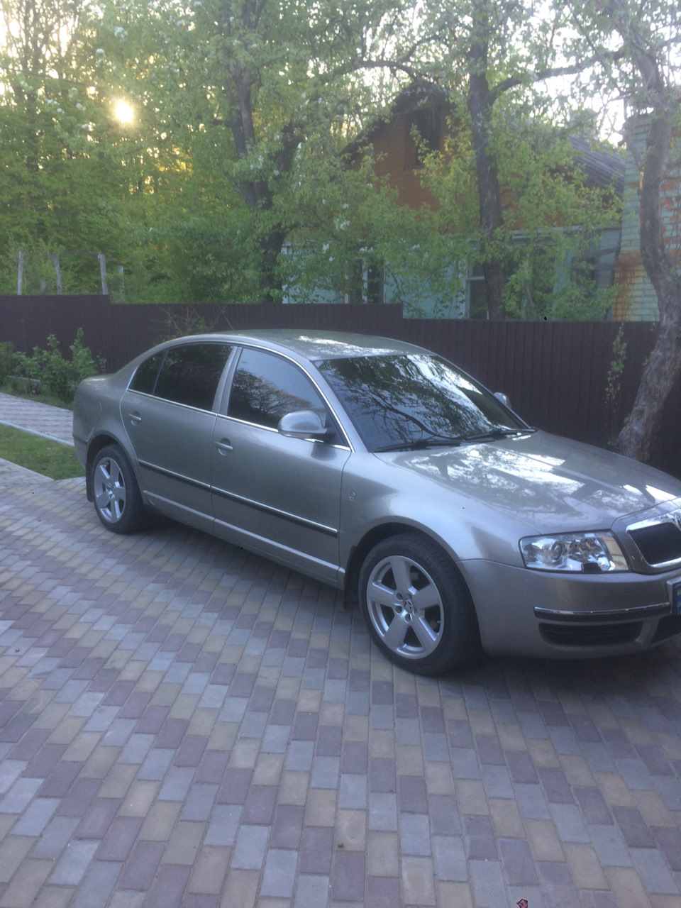 Підняв зад 5