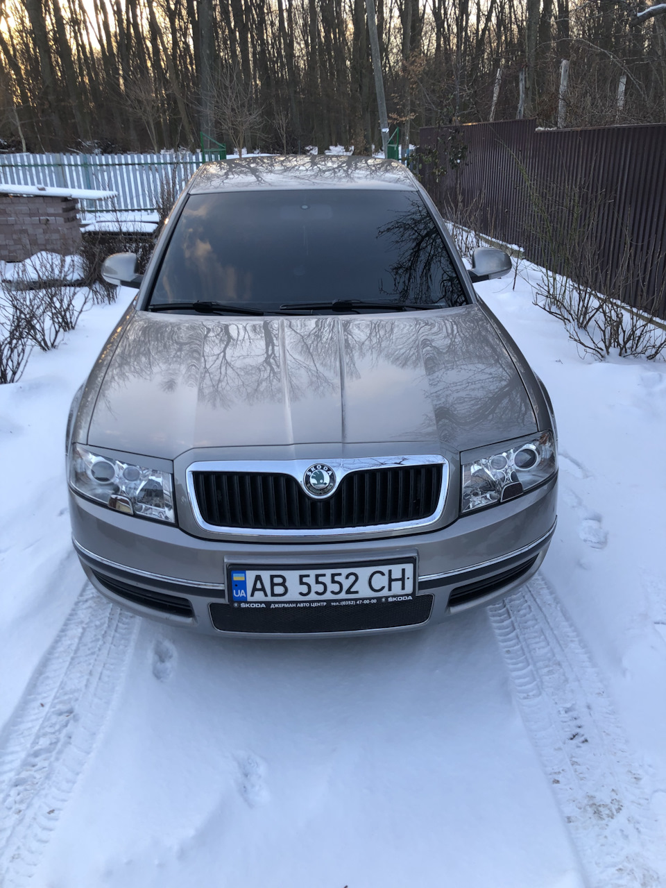Ренички 1
