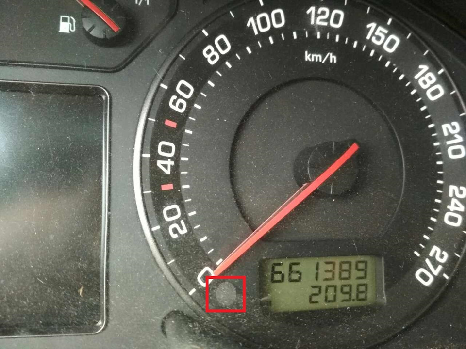 Що це? 1