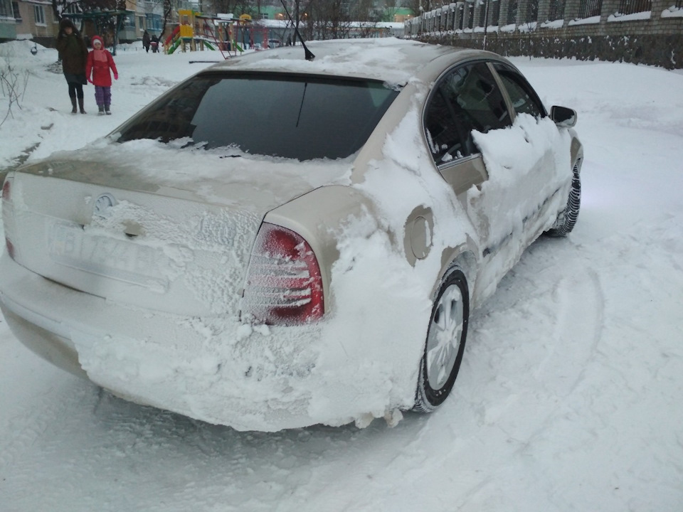 Справжня зима. 1