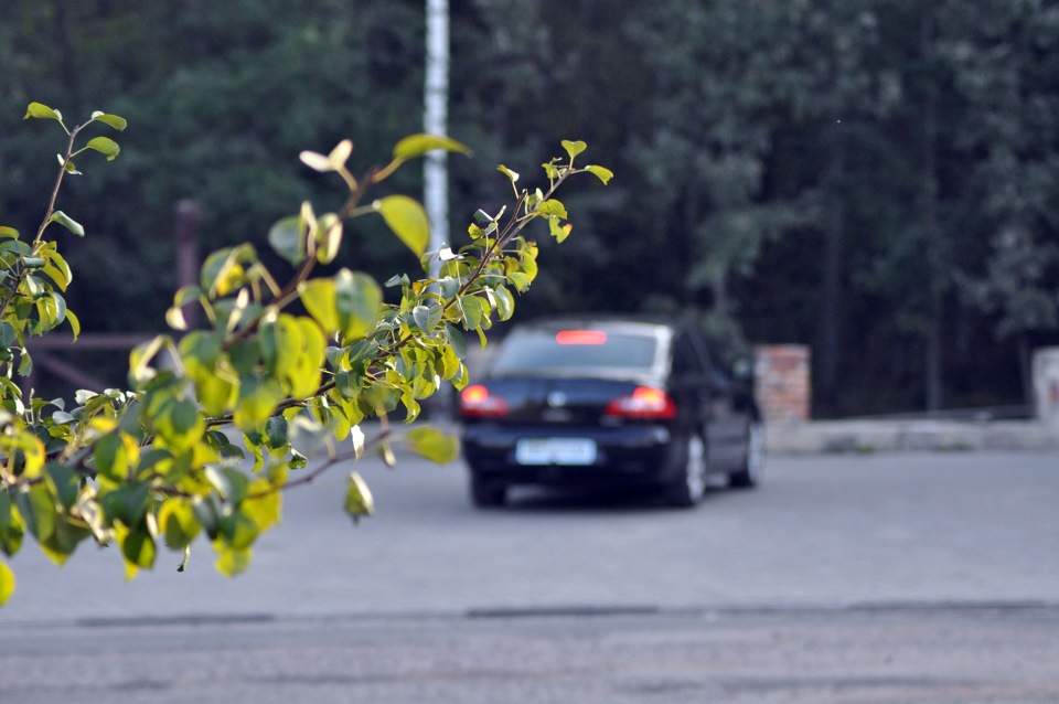 #8 — Фотосет greenline 4