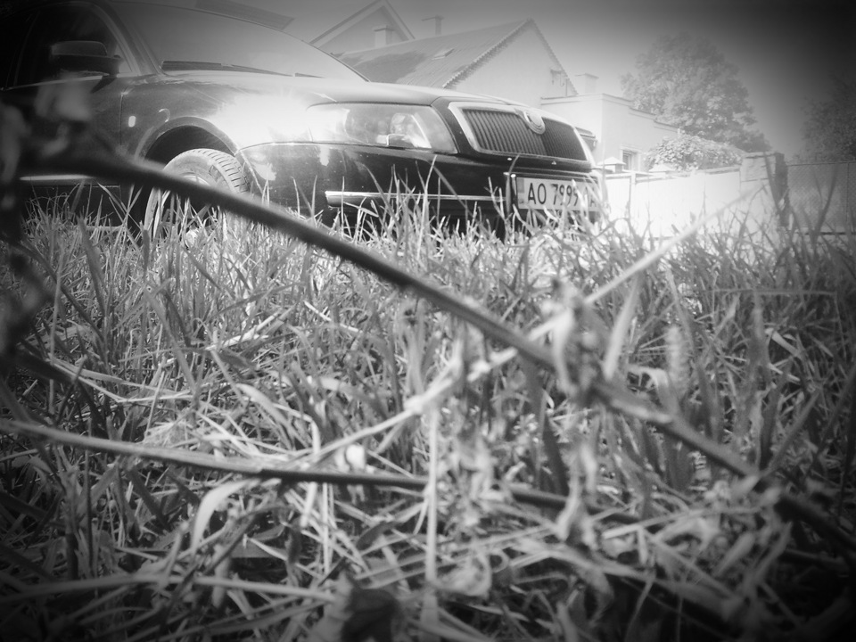 Black and white 3