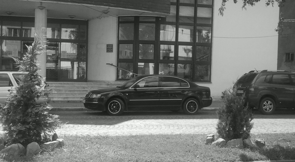 Black and white 1