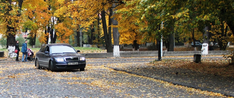 Нові фотки 4