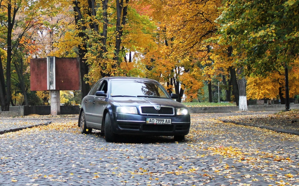 Нові фотки 3