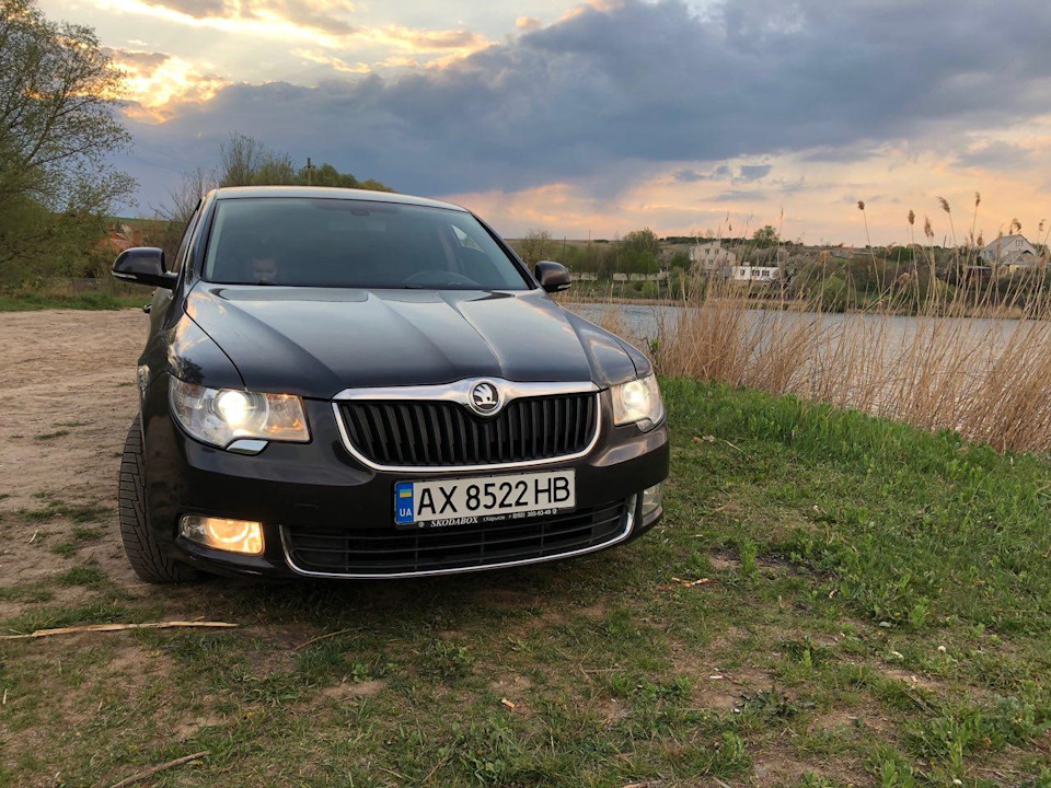 Нові шильдики 1