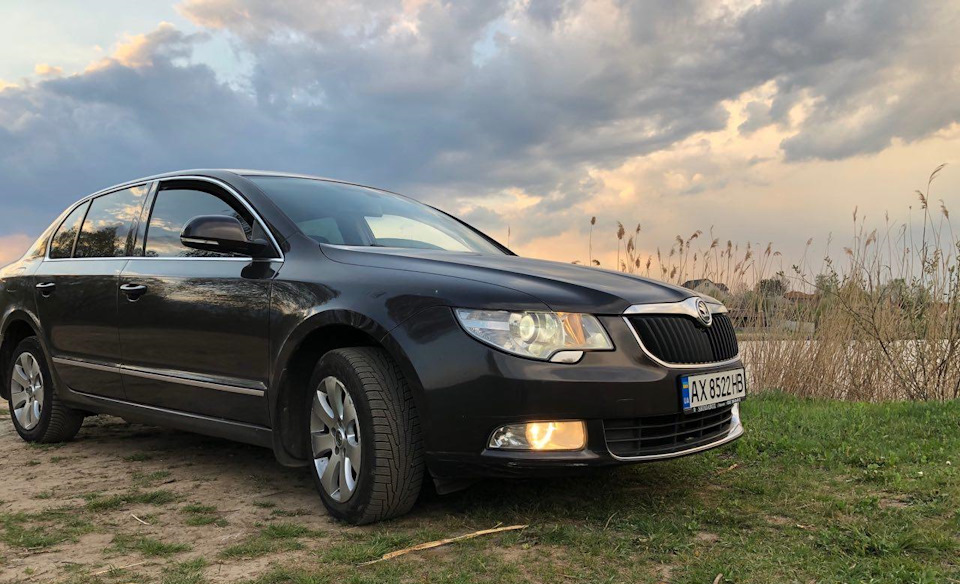 Нові шильдики 2