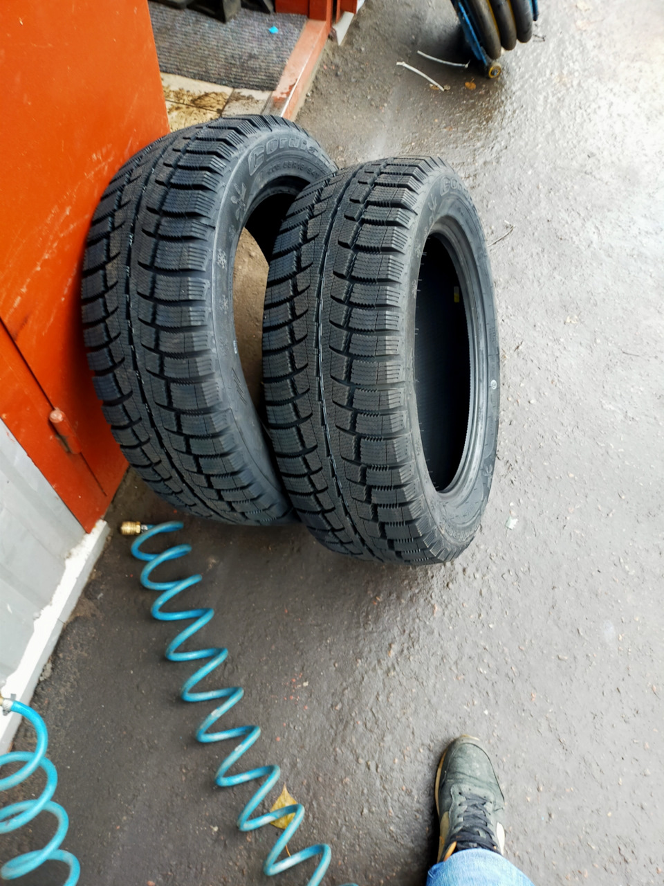 Гума) 2