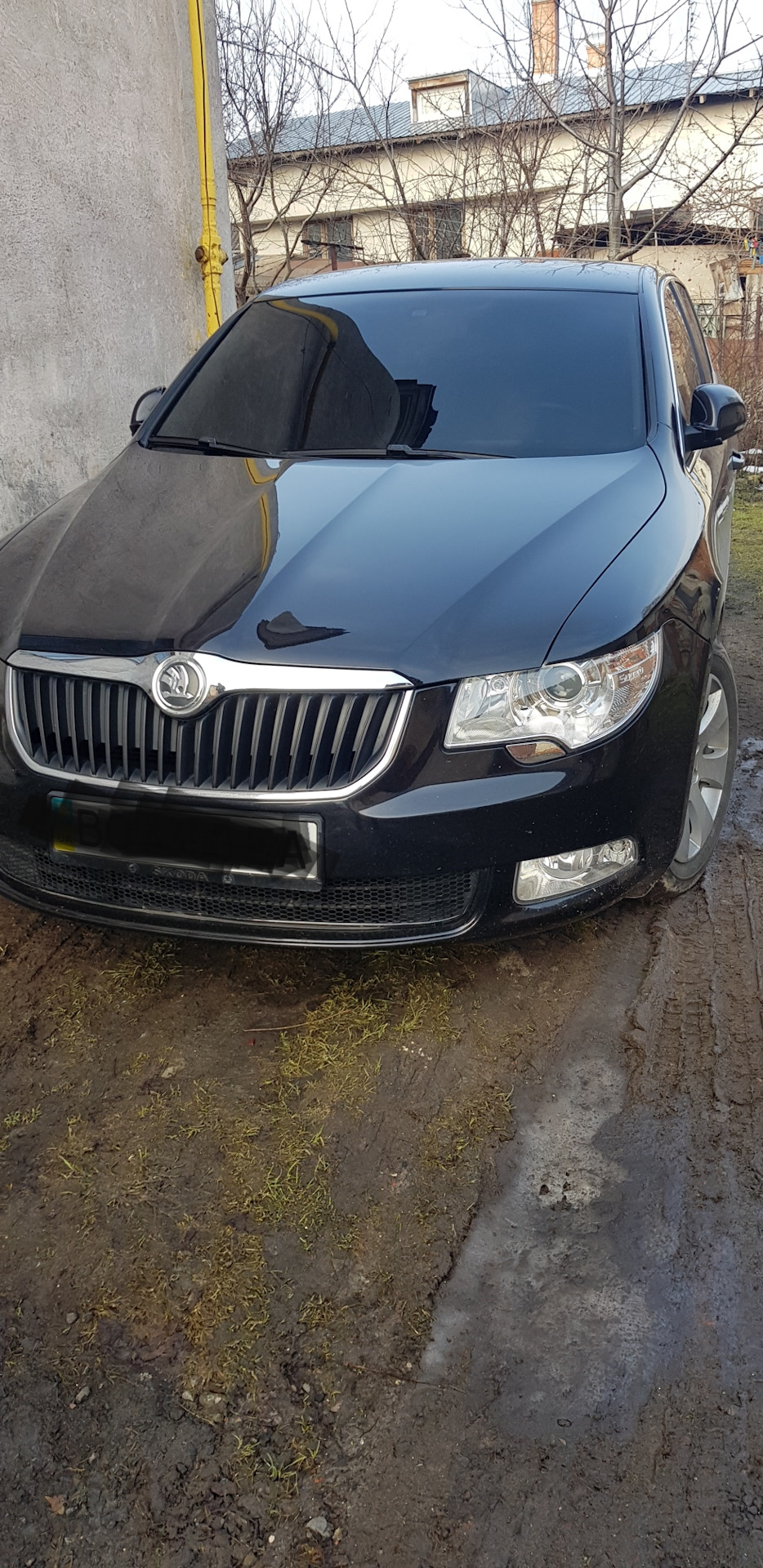 закатав лоб 1