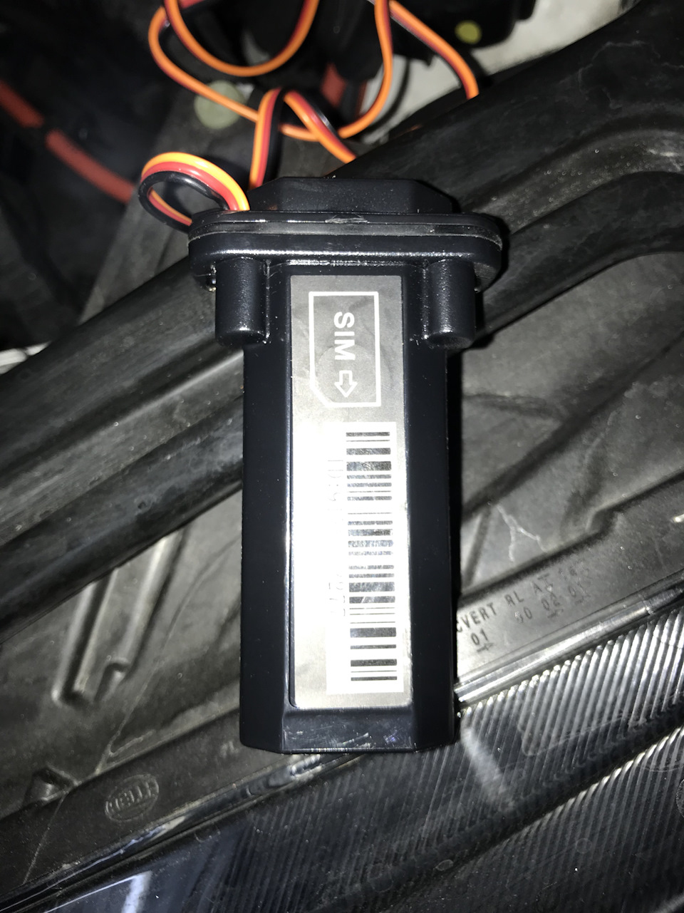 Gps мандри з Алі 1