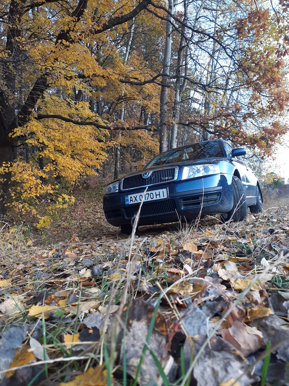 трохи осінніх фото 4