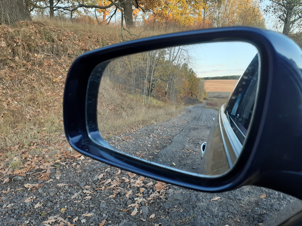 трохи осінніх фото 1